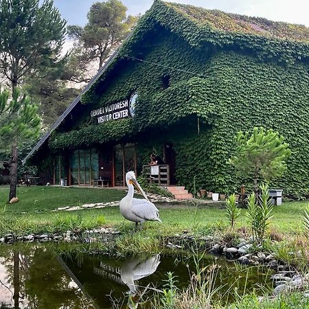 H&A Guest House Divjaka Zewnętrze zdjęcie